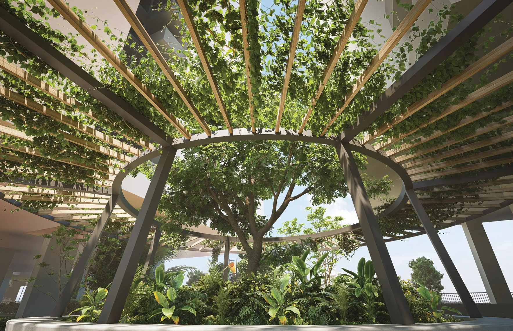 The Ring Garden